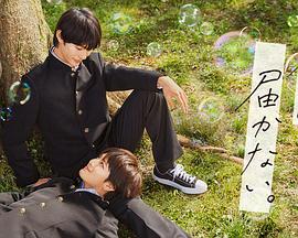 免费看黄色区海报剧照