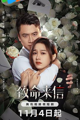 久久中文无码免费看海报剧照